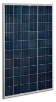 Solar Panel- Quartech CS6P-P Canadian Solar 250W